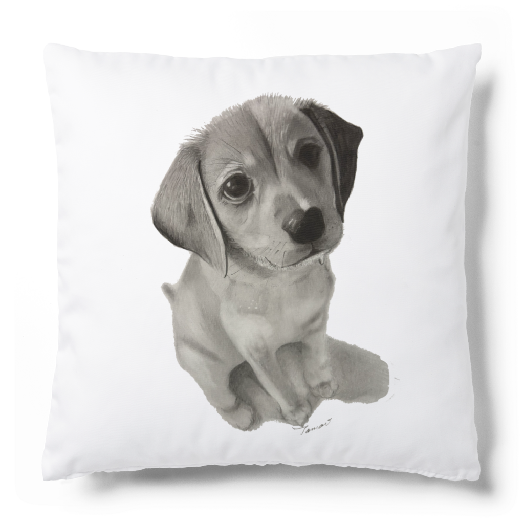 鉛筆画クッション